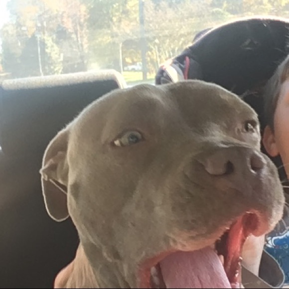 Meet your Posher, Audra - Picture 1 of 1